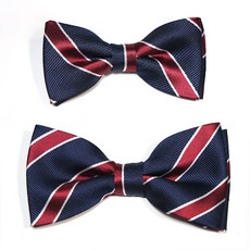 네이비이중보타이