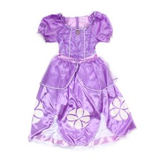 디즈니드레스대여