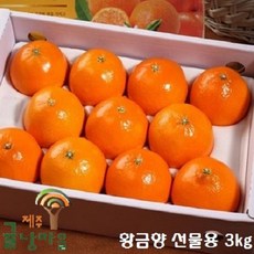제주귤낭마을 황금향 프리미엄 선물용 3kg, 1box