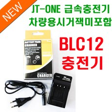 파나소닉루믹스충전기