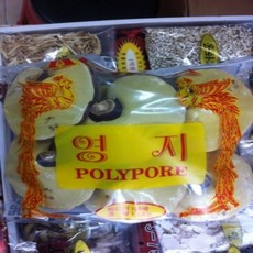 버섯1번지