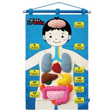 벽걸이교구