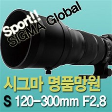 시그마120-300