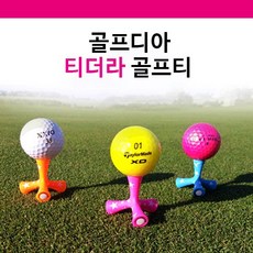 제주골프티