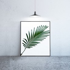 라이트사이클모프