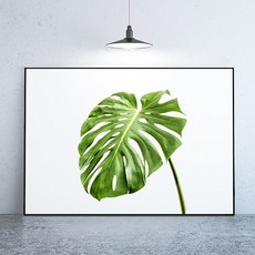 라이트사이클모프