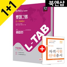 롯데인적성