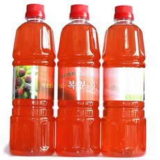 농선 자연발효 복분자 식초, 4병, 900ml