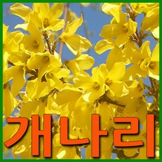 4198b261-ae82-4134-8c10-db6108640e58.jpg