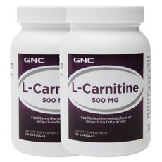 지앤씨 엘 카르니틴 500mg 120캡슐x 2개 기타영양제, 1개