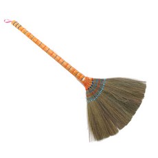 황갈대비