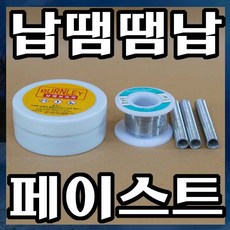 삼지땜납