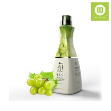 사과청