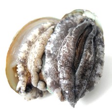 바다소풍 왕특대 완도 활 참전복 1kg, 1세트, 왕특대 1kg(7-8마리)