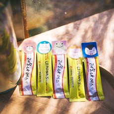 후아미 동물 DIY 레모나 세트 흰색 아트 광택지 포토스티커, 네모