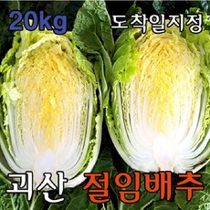 b719cbd7-c920-4b7d-83e4-d7d6ce3bd94c.jpg