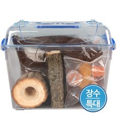곤충나라 클린 장수풍뎅이 사육세트 특대, 클린 장수세트 특대