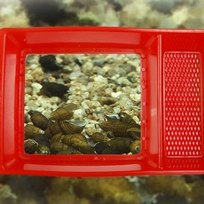 780a51ab-1537-42f7-b7be-46e8a6618755.jpg