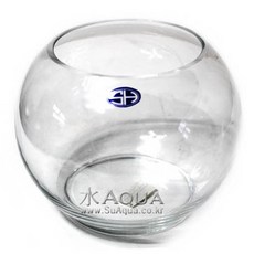 수아쿠아 인테리어 유리병 어항, 1개