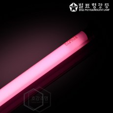 t528w등기구