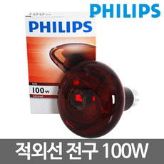 필립스 적외선램프 100W, 1개