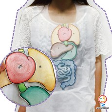 생명과학실험키트