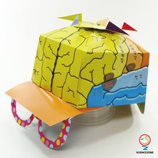 생명과학실험키트