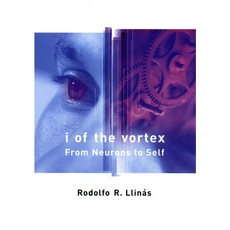I of the Vortex RE/E, MIT