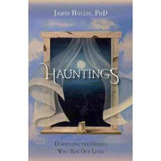 Hauntings: Dispelling the Ghosts Who Run Our Lives, Rudolf Steiner Pr