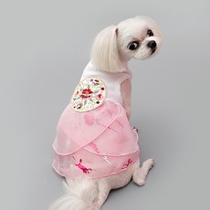 씰앤퍼피