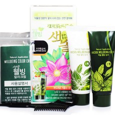 프라나 색솔 웰빙 칼라 크림 염색제 옻안타는 염색약, 1호자연흑갈색, 1개