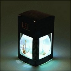 화학정원만들기