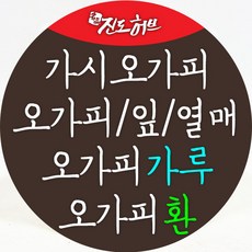 오가피열매
