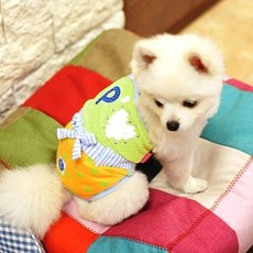강아지올인원 애견올인원 강아지옷 강아지옷 패리스독 슈가링 올인원 그린 애견의류 애견옷, 본상품사이즈색상선택