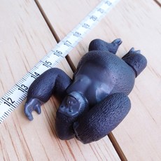 실사동물자석