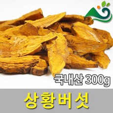 청명약초 상황버섯(300g)-국내산, 300g, 1개