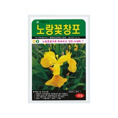 노랑꽃창포씨앗 20립