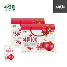 메이비석류