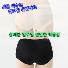 수아팜위생팬티