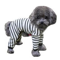 스니프올인원