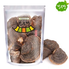 정우당 상황버섯, 1개, 중국상황버섯1kg