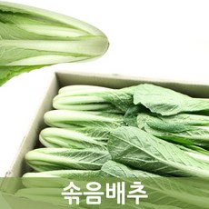 솎음배추