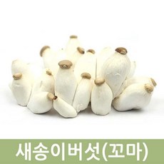 두리반농산 꼬마 새송이버섯, 1봉