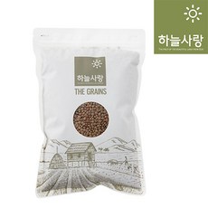 [천애지하늘사랑] 1kg 브라운 렌틸콩, 1개