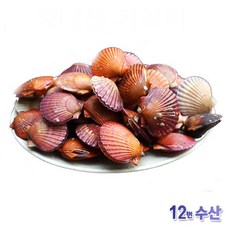 둥이네수산