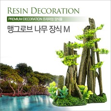 맹그로브나무
