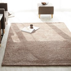 풍성한샤기카페트