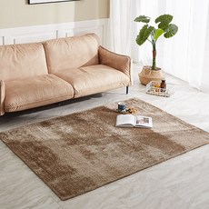 풍성한샤기카페트