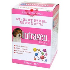 인제펜션독채온수수영장