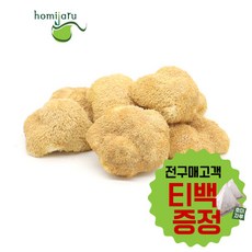 호미자루 노루궁뎅이버섯 국산 건조노루궁뎅이버섯, 200g, 1개